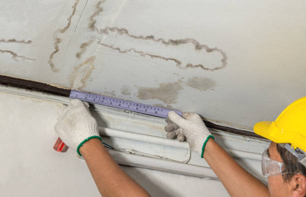 Reliable Mold Remediation contractor in Newport, MI by Water Damage Irwin